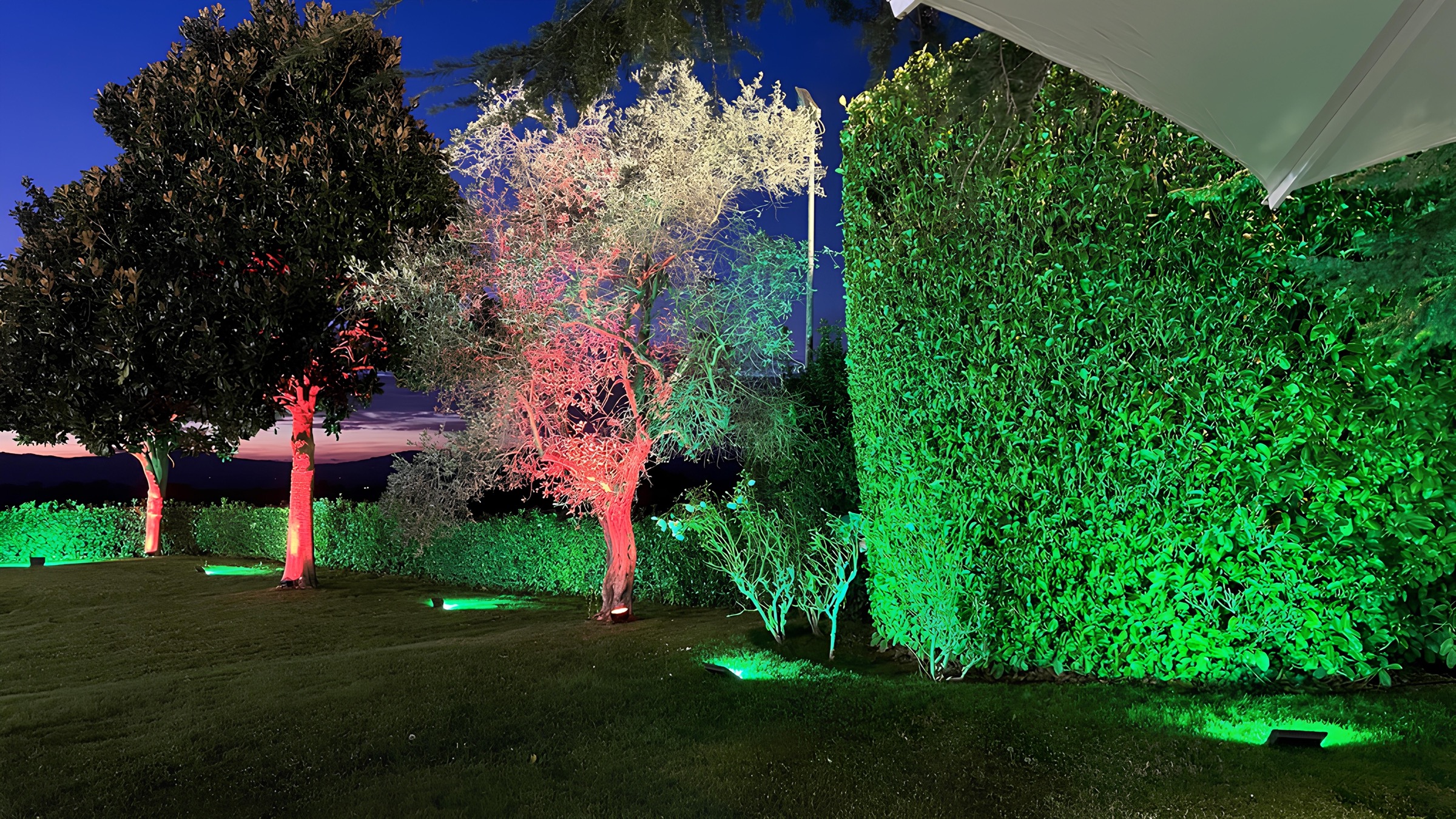 Illuminazione architetturale su siepi e alberi